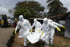 Bác sỹ Liberia đình công đẩy dịch Ebola có nguy cơ lây lan nhanh