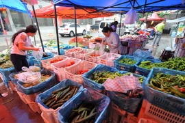 Giá lương thực thế giới giảm xuống mức thấp nhất 15 năm qua