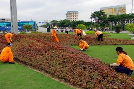 Nhân lên những không gian xanh cho Thành phố vì Hòa bình