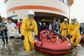 Nhật Bản: Bão Phanfone làm gần 60 người thương vong và mất tích