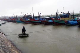 Tàu, thuyền vào tránh trú bão âu thuyền Cửa Sót huyện Lộc Hà, Hà Tĩnh. (Ảnh: Công Tường/TTXVN)