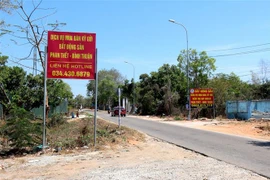 Nhiều biển giới thiệu, môi giới bất động sản được dựng lên trên tuyến đường dẫn vào khu vực dự án sân bay Phan Thiết. (Ảnh: Nguyễn Thanh/TTXVN)
