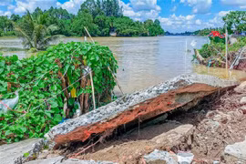 Khu vực Ô Môn, Cần Thơ. (Ảnh minh họa: Thanh Liêm/TTXVN)