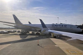 Máy bay của hãng hàng không United Airlines tại sân bay Dulles, bang Virginia, Mỹ ngày 12/3. (Ảnh: AFP/TTXVN)