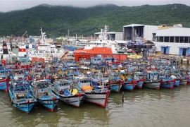 Tàu thuyền của ngư dân miền Trung được neo đậu tránh bão số 6 tại Âu thuyền Thọ Quang. (Ảnh: Trần Lê Lâm/TTXVN)
