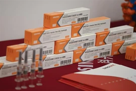 Vaccine ngừa COVID-19 của Sinovac. (Ảnh: AFP/TTXVN)
