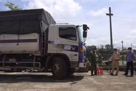 (Ảnh minh họa: TTXVN phát)
