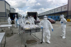 Các F0 sau khi khỏi bệnh tham gia vào việc phát suất cơm hàng ngày cho các bệnh nhân F0 khác. (Ảnh: TTXVN phát)