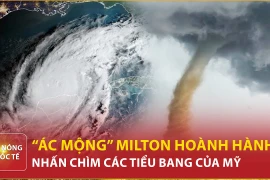 Siêu bão Milton: Sức gió 290km/h đang nhấn chìm khu vực Vịnh Tampa, Florida