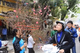 [Video] Bắc Bộ sẽ đón đợt rét vào dịp Tết Nguyên Đán Ất Mùi