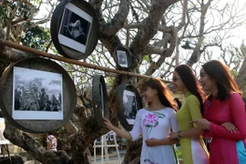 Ảnh minh họa. (Nguồn: TTXVN)