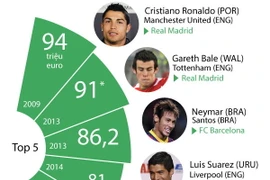 (Nhấp chuột vào ảnh để xem kích thước chuẩn)