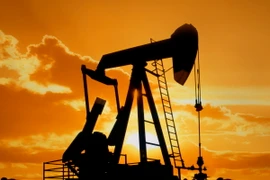 Indonesia hủy bỏ thuế đất trong hoạt động thăm dò dầu khí 