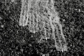 [Photo] Sự ác liệt của chiến tranh Việt Nam qua những bức ảnh 