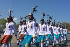 Các nhóm tham gia diễu hành. (Ảnh: Trung Sơn/Vietnam+)