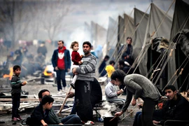 Liên hợp quốc: 5,5 triệu người phải tị nạn trong nửa đầu 2014
