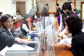 Ảnh minh họa. (Nguồn: TTXVN)