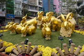 [Photo] Khung cảnh rực rỡ trên đường hoa Ất Mùi tại TP.HCM