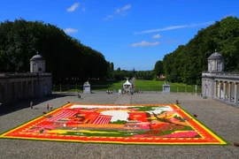 Thảm hoa rực rỡ được dệt từ 300.000 bông hoa thu hải đường. (Ảnh: THX/TTXVN)