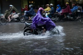  (Ảnh minh họa: Huy Hùng/TTXVN) 