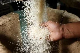 Ảnh minh họa. (Nguồn: english.alarabiya.net)