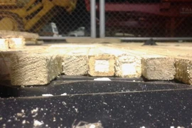 Honduras bắt hơn 700 kg cocaine dạng hồ giấu trong container gỗ