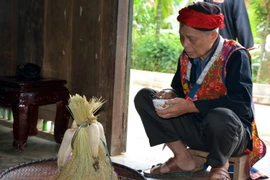 Thầy cúng làm lễ rồi dùng nước phun vào cụm lúa để cầu cho mưa thuận, gió hòa. (Ảnh: Thế Duyệt/TTXVN)