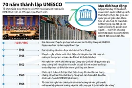 (Nhấp chuột vào ảnh để xem kích thước chuẩn)