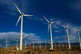 Các tuôcbin gió tại nhà máy phong điện ở Palm Springs, bang California. (Ảnh: THX/TTXVN)