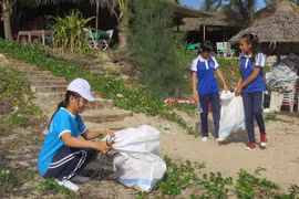 Các em học sinh tham gia nhặt rác tại bãi biển An Bàng. (Ảnh: Nguyễn Sơn/Vietnam+)