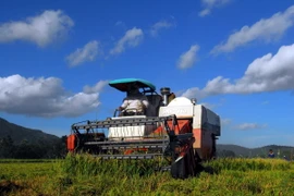 Nông dân đồng bằng sông Cửu Long thu hoạch vụ hè thu 2015. (Ảnh: Mạnh Linh/TTXVN)