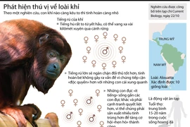 (Nhấp chuột vào ảnh để xem kích thước chuẩn)