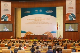 [Video] Vai trò của Nghị viện với mục tiêu phát triển sau 2015