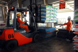 Công ty sản xuất thức ăn gia súc, gia cầm và thủy sản 100% vốn đấu tư của Hà Lan hoạt động tại tỉnh Vĩnh Phúc. (Ảnh: TTXVN)