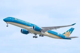Máy bay của hãng hàng không Vietnam Airlines. (Ảnh: Vietnam+)