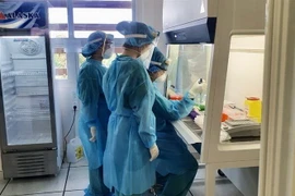 Ảnh minh họa. (Nguồn: TTXVN)