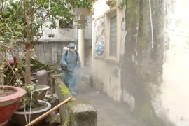 Phun thuốc diệt muỗi phòng chống dịch bệnh sốt xuất huyết tại hộ dân ở thành phố Bắc Ninh, tỉnh Bắc Ninh. (Ảnh: Thái Hùng/TTXVN)