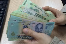 Ảnh minh họa. (Nguồn: Vietnam+)