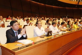 Các đại biểu Quốc hội vỗ tay sau khi thông qua Nghị quyết phê chuẩn EVFTA. (Ảnh: Trọng Đức/TTXVN)
