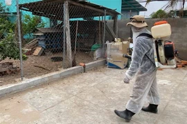 Phun thuốc khử trùng để phòng, chống dịch bệnh cho gia súc, gia cầm. (Nguồn: TTXVN)