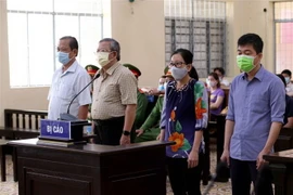 Các bị cáo tại phiên tòa. (Ảnh: Kim Há/TTXVN)