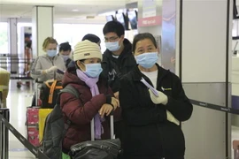 Công dân Việt Nam xếp hàng để làm thủ tục lên máy bay về nước. (Ảnh minh họa. Nguồn: TTXVN)