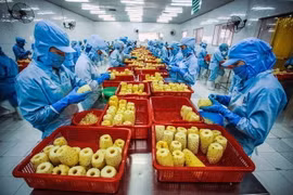 Chế biến nông sản xuất khẩu. (Ảnh minh họa. Nguồn: TTXVN)