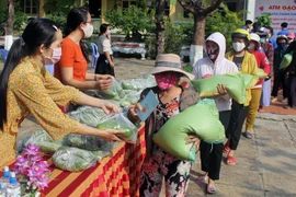 Ngoài gạo còn có các phần rau xanh hỗ trợ cho người dân gặp khó khăn. (Ảnh: Xuân Triệu/TTXVN)