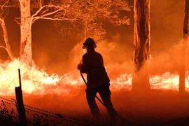 Lực lượng cứu hỏa nỗ lực dập cháy rừng. (Nguồn: Getty Images)