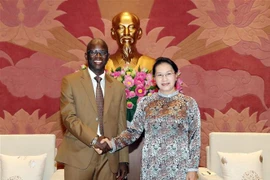 Chủ tịch Quốc hội Nguyễn Thị Kim Ngân tiếp Giám đốc quốc gia Ngân hàng Thế giới tại Việt Nam Ousmane Dione. (Ảnh: Trọng Đức/TTXVN)