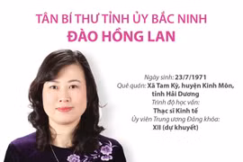 Thông tin về tân Bí thư Tỉnh ủy Bắc Ninh Đào Hồng Lan.