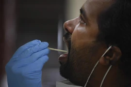 Nhân viên y tế lấy mẫu xét nghiệm COVID-19 tại Nashik, Ấn Độ, ngày 13/9/2020. (Ảnh: AFP/TTXVN)