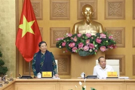 Phó Chủ tịch Thường trực Quốc hội Tòng Thị Phóng phát biểu. (Ảnh: Văn Điệp/TTXVN)