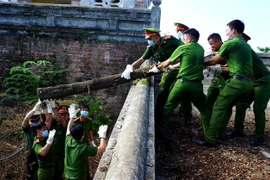 Các lực lượng tiến hành dọn dẹp vệ sinh, thu gom rác thải. (Ảnh: Tường Vi/TTXVN)